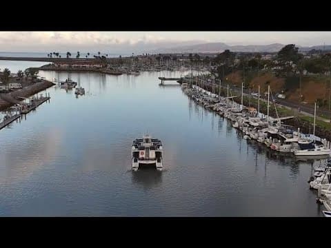 Oceanside Adventures | Whale watching and dolphin cruises