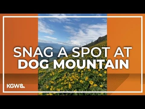 Spring permits for Dog Mountain going on sale