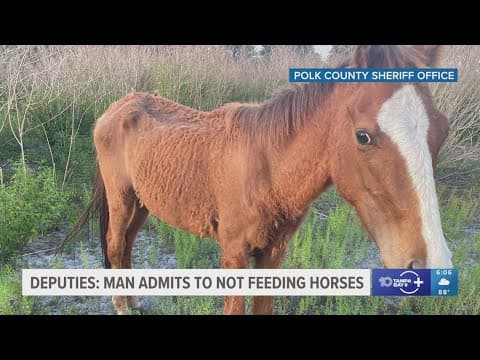 Deputies: Polk County man admits to not feeding horses for weeks