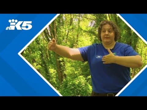 Washington bans sale of English ivy