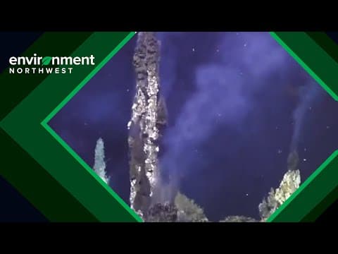 Underwater volcano in the Pacific Northwest shows signs of eruption
