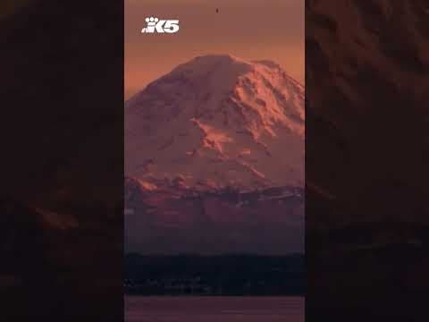 Mount Rainier National Park visitors will need reservations this summer at popular entrances