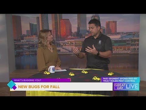 What's bugging you? Truly Nolen keeps fall pests away now
