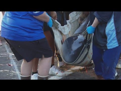 San Diego's top stories for March 17 at 6 a.m.