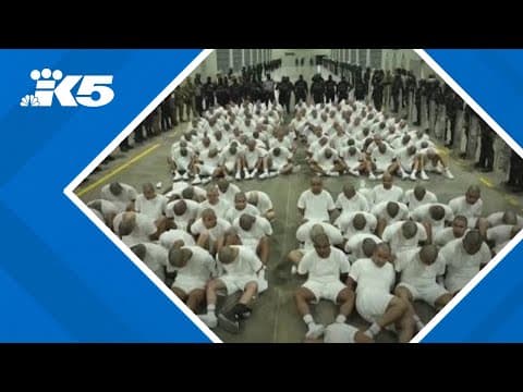 Federal judge finds probable cause to hold White House in contempt for deportations