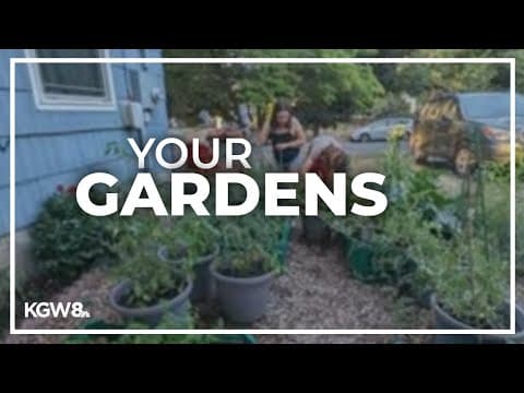 The Good Stuff: Growing gardens across the metro area