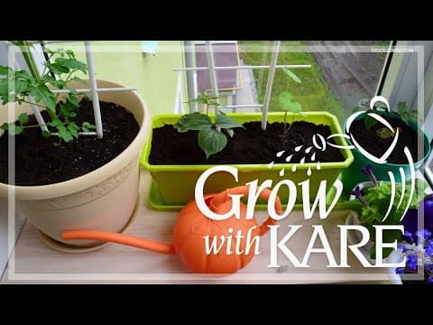 Grow with KARE: Container gardens