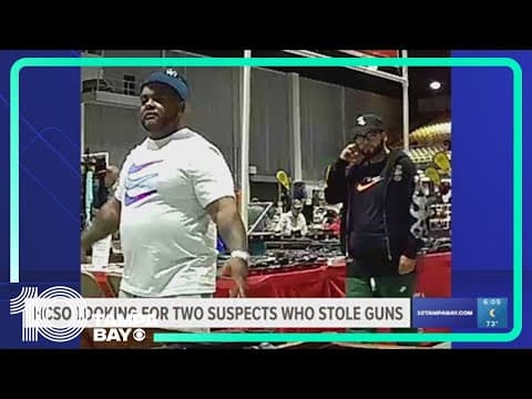 Hillsborough deputies searching for two suspects who allegedly stole guns