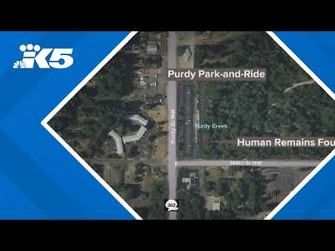 Human remains found along creek near Pierce Transit park and ride