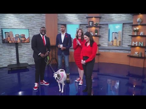 KARE 11 Sunrise says goodbye to Rena and good morning to new anchor Jason Hackett