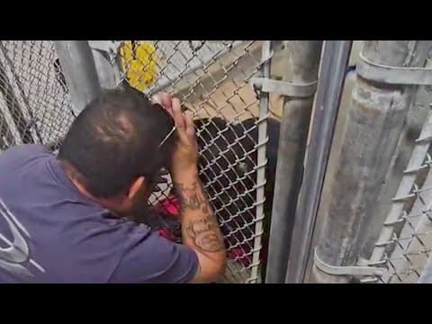 Texas family's lost dog found alive after 5 years