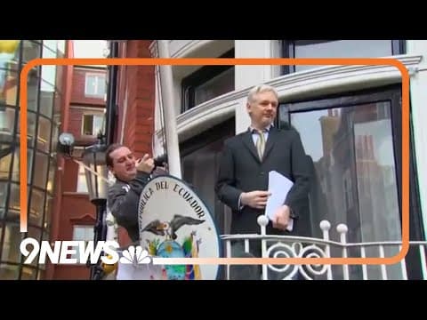 Julian Assange to plead guilty in deal with US to end long-running legal saga