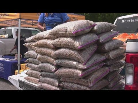 Houston Humane Society distributes pet food, supplies to pet owners impacted by storm