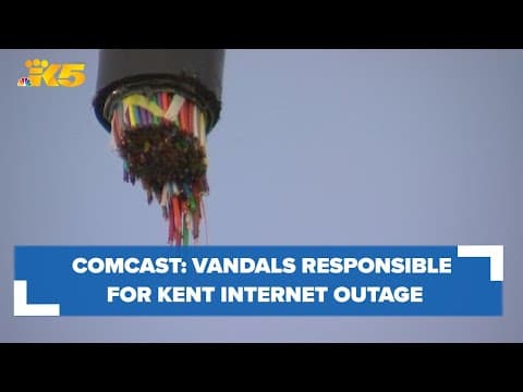 Vandals responsible for Kent internet outage, Comcast says; business owners disrupted
