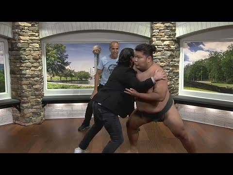 Sumo wrestling being featured at this year's Asian Fest