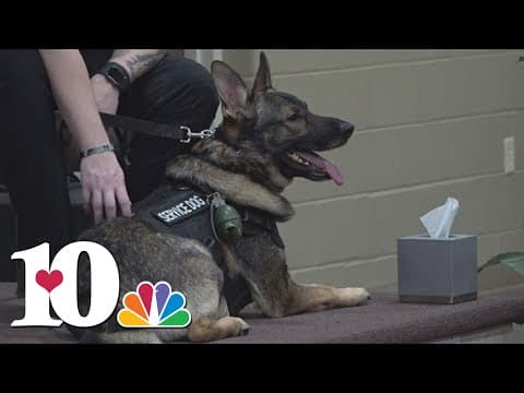 Paws and Badges hosts service dog graduation