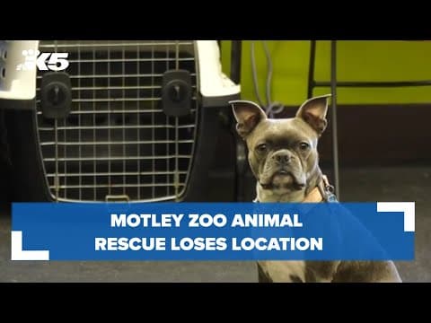 Motley Zoo Animal Rescue loses location