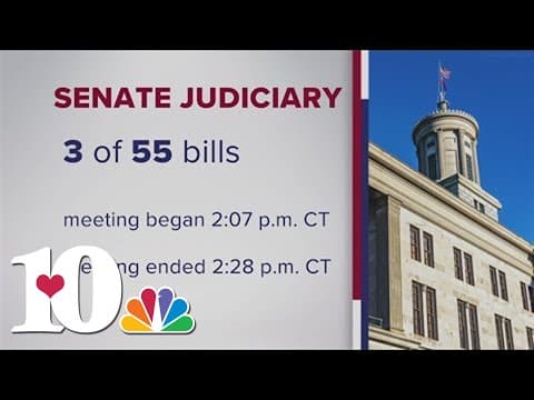 Bulk of bills tabled in TN Senate during second day of special legislative session