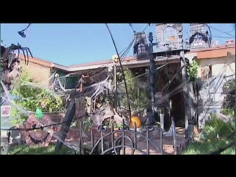 How fake spiderweb Halloween decorations can be dangerous to wildlife