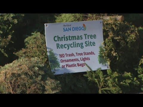 San Diego Christmas tree recycling program underway