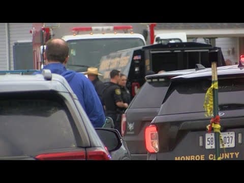 Two minors killed after drunk driver's car crashed into a birthday party in Michigan