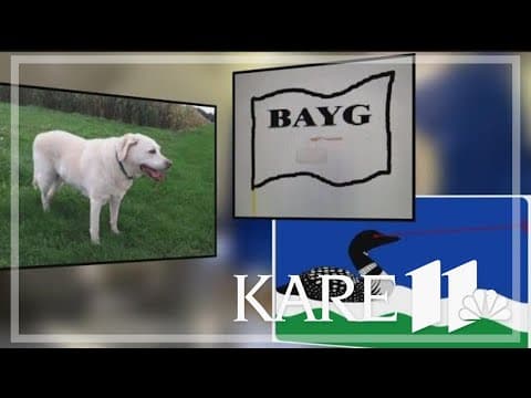 For better or worse, thousands of new Minnesota flag designs are publicly released