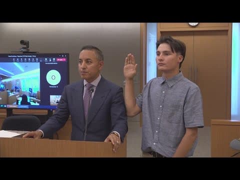 Driver pleads guilty in pellet gun death of homeless woman