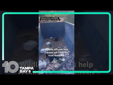 #Colorado wildlife officials help free trapped bear cub from dumpster