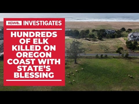 ODFW sanctioned killing hundreds of elk on the Oregon Coast due to property damage