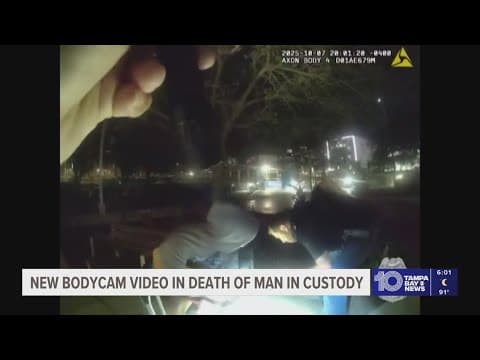 New details released about man killed after being hit by a car while running away from Tampa police