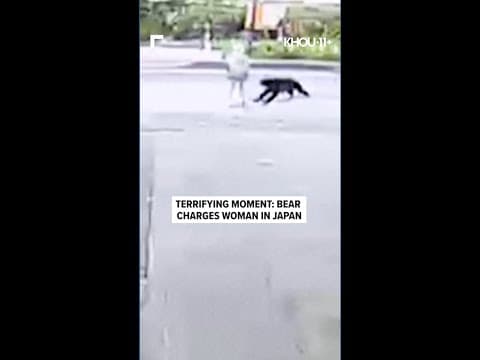 Bear attacks woman in Japan