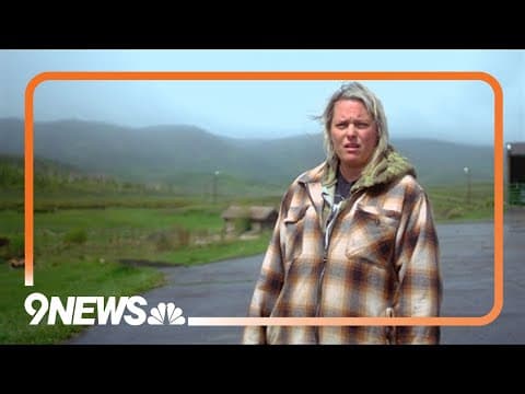 Colorado mom certain she recorded a wolf about 30 yards from house