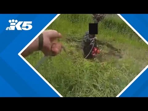 Deputy uses lasso to pull man with chainsaw from pond