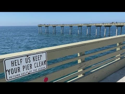 OB Pier could be torn down and rebuilt, committee meeting Wednesday