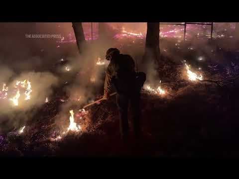 Firefighters battle growing wildfires in California as flames threaten forests and homes