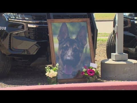 2-year-old McKinney Police K9 honored with funeral