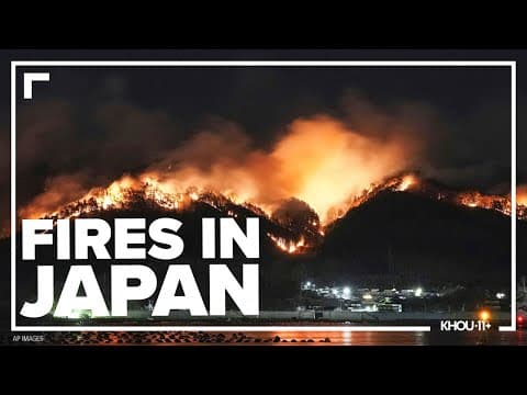 Japan forest fire has damaged dozens of homes and caused hundreds to evacuate
