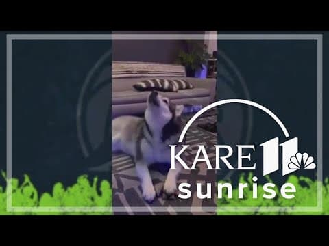 Let's hear your howl: Timberwolves fans hang on to hope