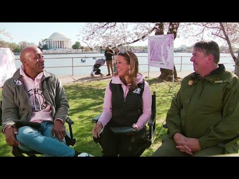 Mike Litterst with the National Park Service previews cherry blossom peak bloom