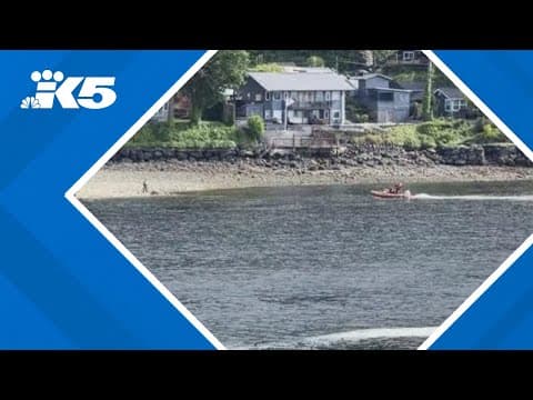 Passenger recounts moments a kayaker was rescued along Seattle-Bremerton ferry route