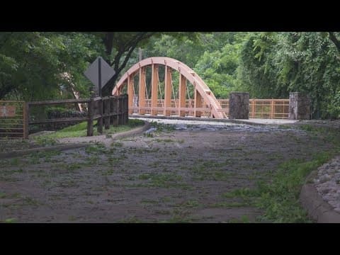 Dallas Zoo working to clear extensive tree damage from complex