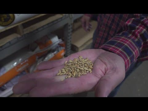 The price of brewing is about to change as tariffs impact local breweries