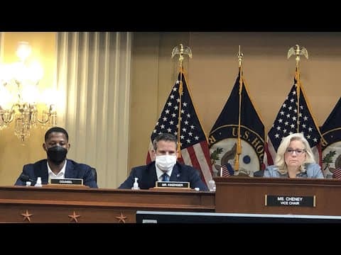 Stepping up to save American democracy after Capitol Riots | Web Extra