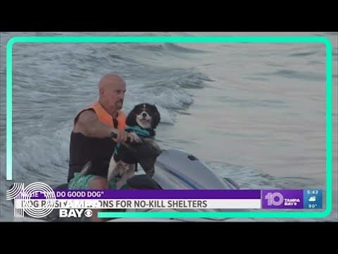 Florida dog riding Jet Ski to raise millions for no-kill shelters