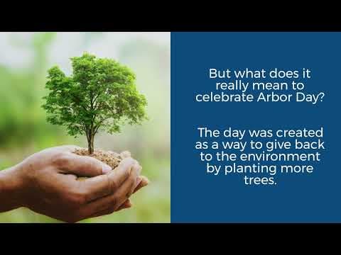 The significance of Arbor Day and how to celebrate it in Columbus