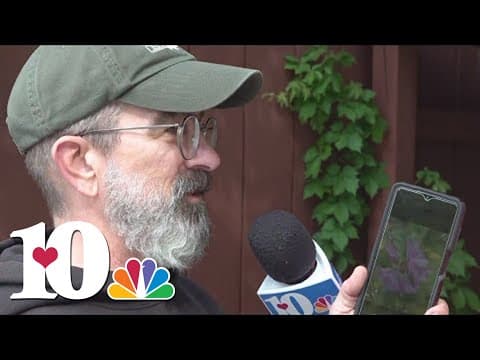 How to take on the City Nature Challenge