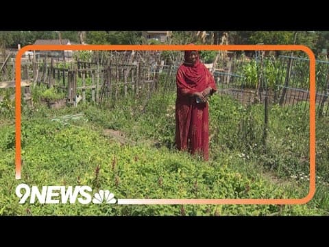 Program offers immigrants an opportunity to grow food from their home countries
