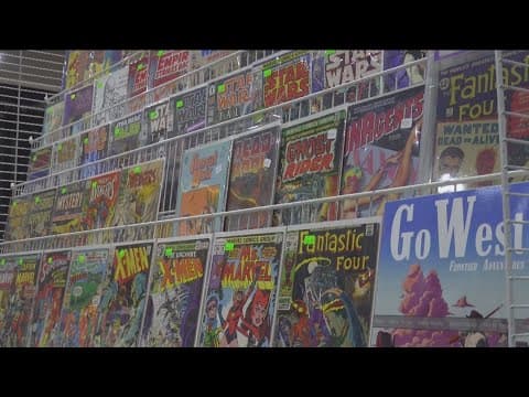 Comic-Con fans share what they are loving at the convention