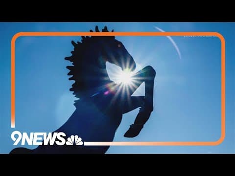 DIA posts fake 'mustang handler' job for April Fools' Day