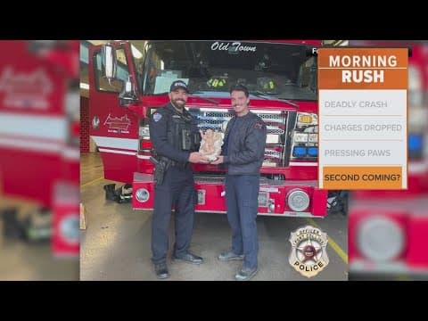 Thief returns stolen baby Jesus statue